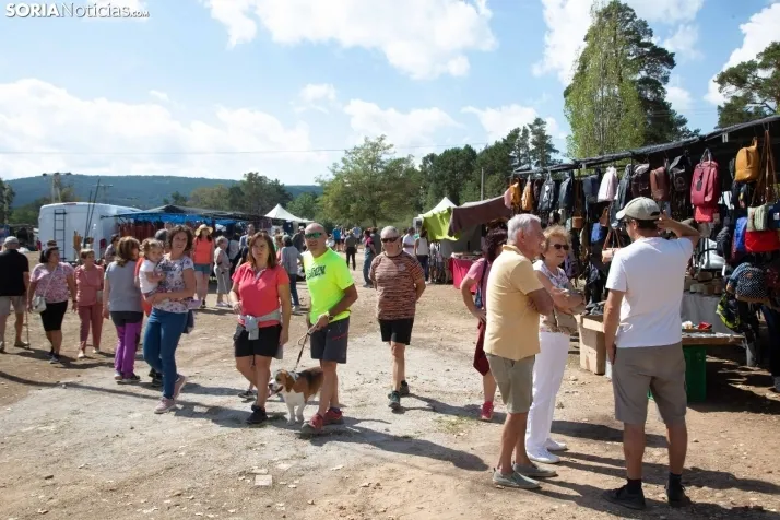 Feria Ganadera de Vinuesa: 31 edición