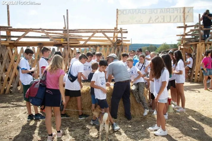 Feria Ganadera de Vinuesa: 31 edición