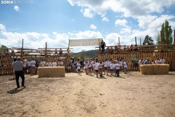 Feria Ganadera de Vinuesa: 31 edición