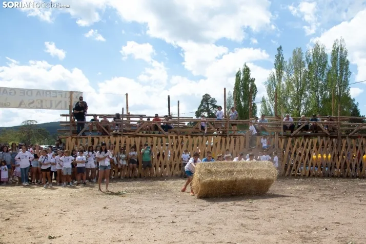 Feria Ganadera de Vinuesa: 31 edición