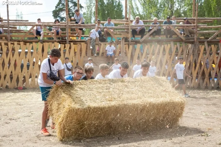 Feria Ganadera de Vinuesa: 31 edición