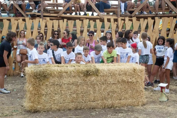 Feria Ganadera de Vinuesa: 31 edición