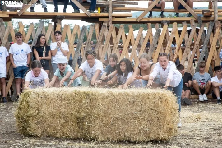 Feria Ganadera de Vinuesa: 31 edición