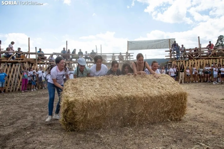 Feria Ganadera de Vinuesa: 31 edición