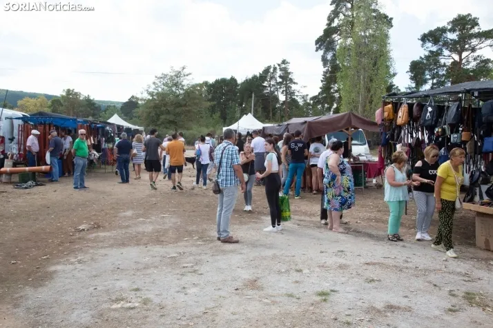 Feria Ganadera de Vinuesa: 31 edición