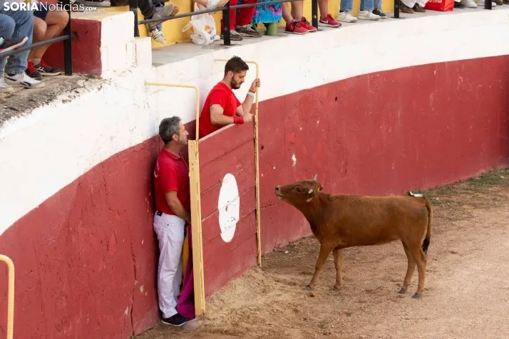 Peñas y Capea Arcos de Jalón 2022