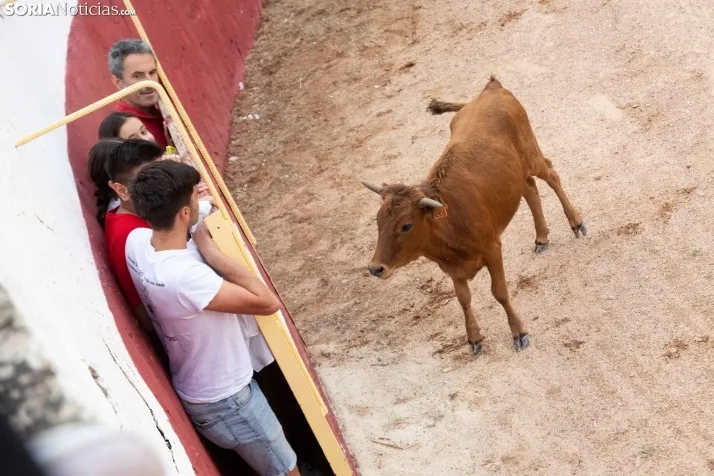 Peñas y Capea Arcos de Jalón 2022