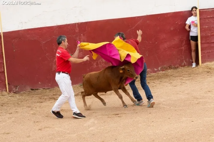 Peñas y Capea Arcos de Jalón 2022