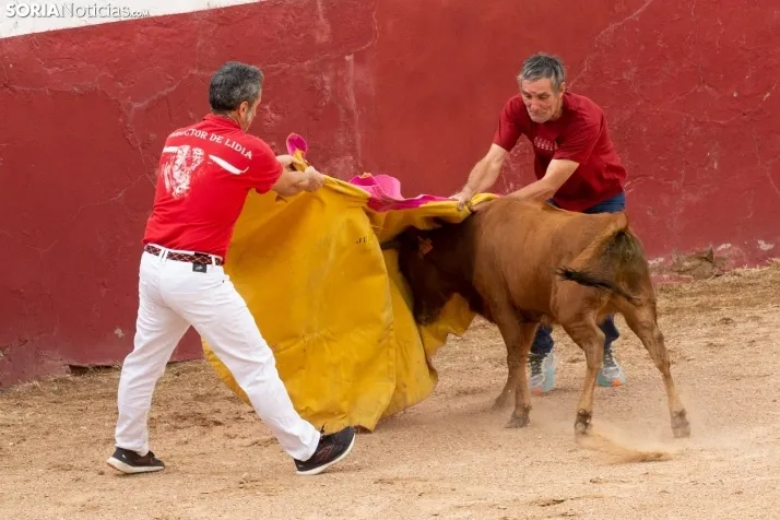 Peñas y Capea Arcos de Jalón 2022