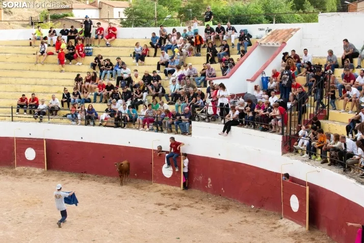 Peñas y Capea Arcos de Jalón 2022