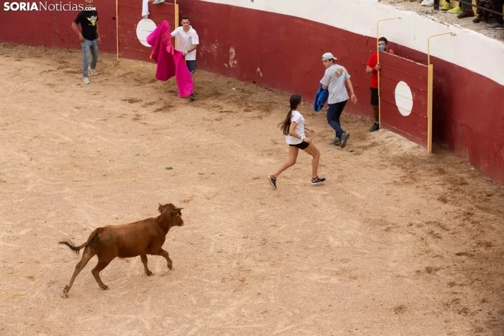 Peñas y Capea Arcos de Jalón 2022