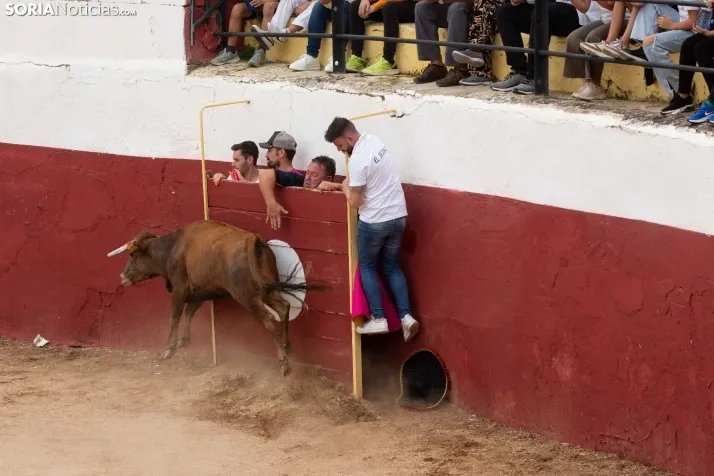 Peñas y Capea Arcos de Jalón 2022