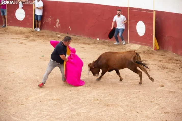 Peñas y Capea Arcos de Jalón 2022