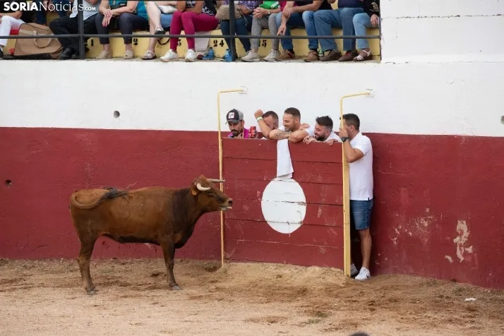 Peñas y Capea Arcos de Jalón 2022