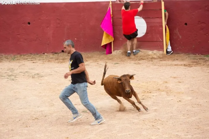 Peñas y Capea Arcos de Jalón 2022