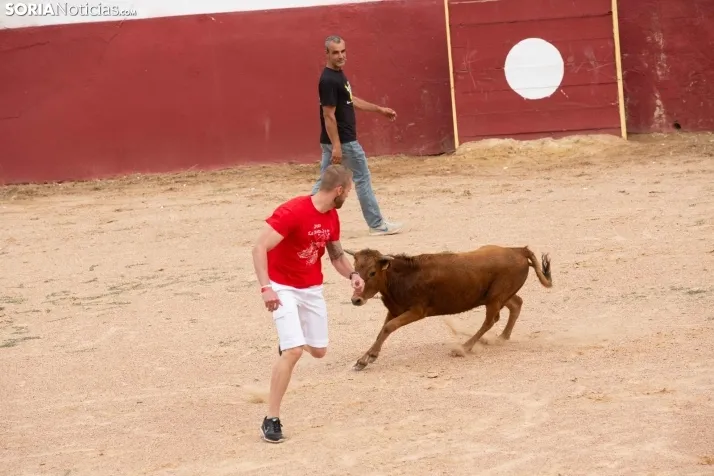 Peñas y Capea Arcos de Jalón 2022