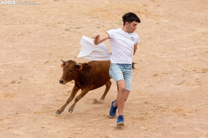Peñas y Capea Arcos de Jalón 2022