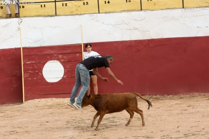 Peñas y Capea Arcos de Jalón 2022
