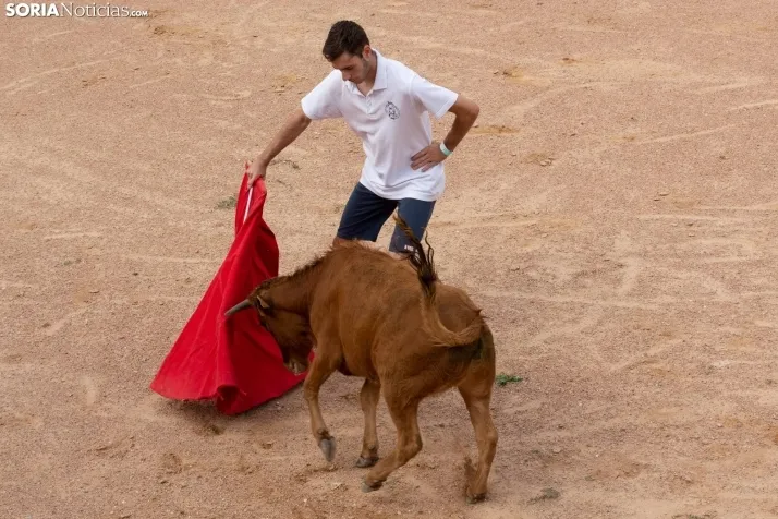 Peñas y Capea Arcos de Jalón 2022