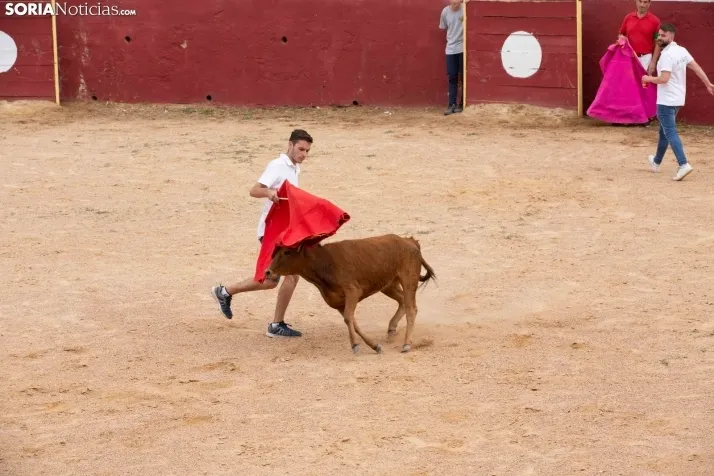 Peñas y Capea Arcos de Jalón 2022
