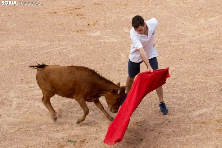 Peñas y Capea Arcos de Jalón 2022