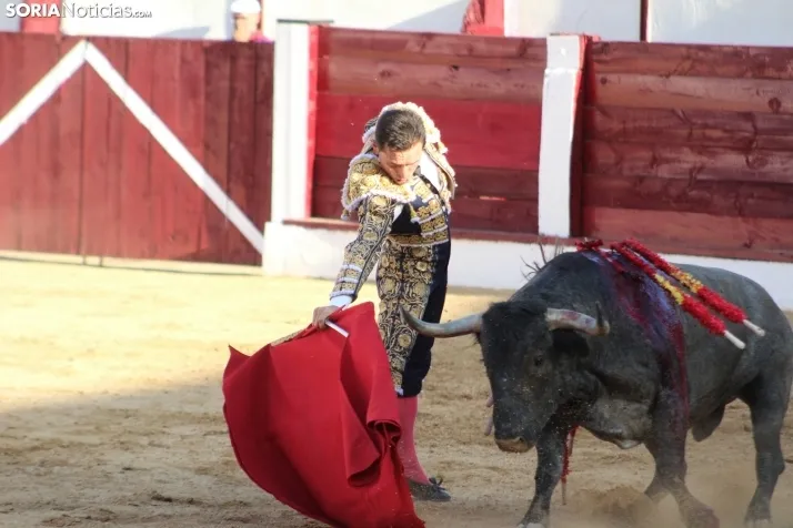 Una imagen del festejo este sábado en Almazán. /Santos Gómez