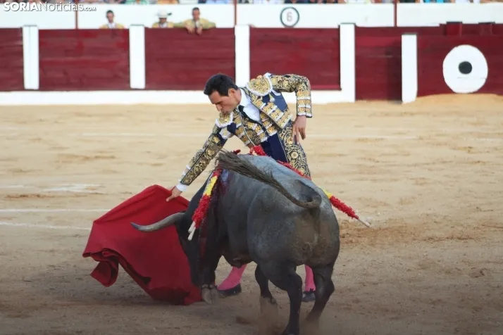 Una imagen del festejo este sábado en Almazán. /Santos Gómez