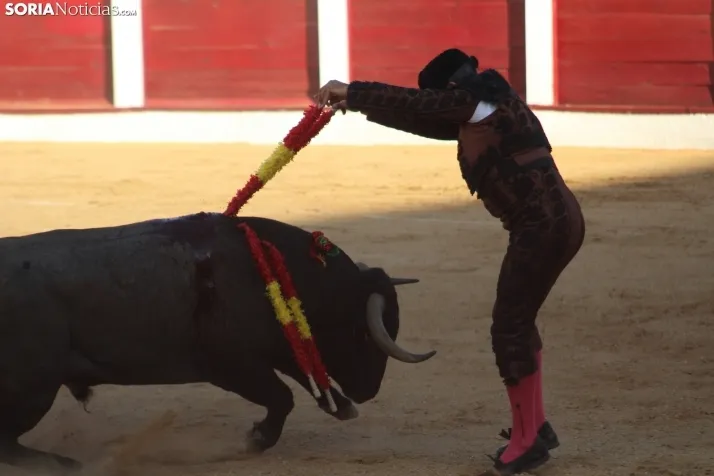 Una imagen del festejo este sábado en Almazán. /Santos Gómez