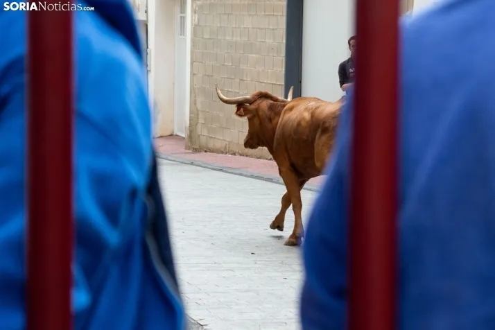 Encierro Fiestas Ólvega 2022