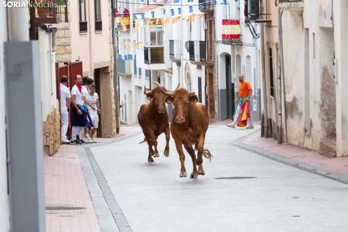 Encierro Fiestas Ólvega 2022