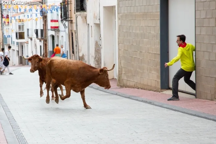 Encierro Fiestas Ólvega 2022