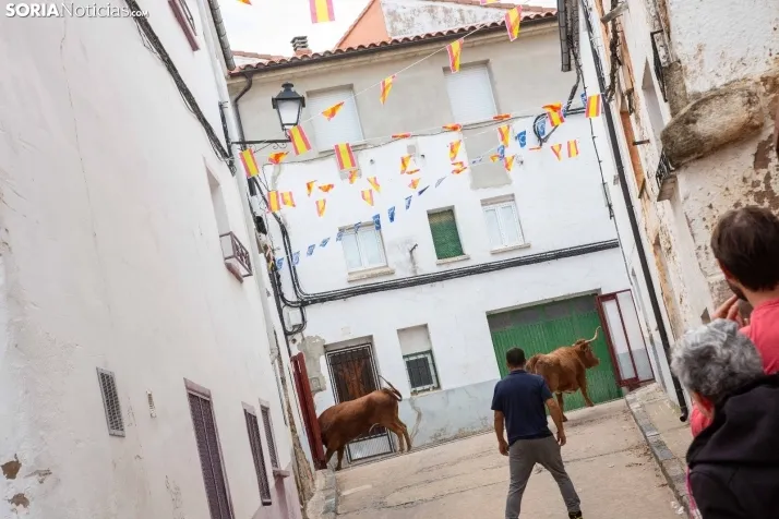Encierro Fiestas Ólvega 2022