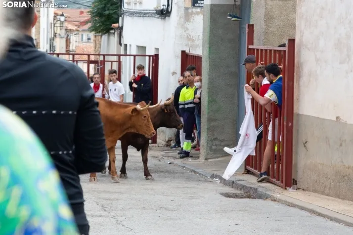 Encierro Fiestas Ólvega 2022