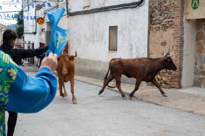 Encierro Fiestas Ólvega 2022