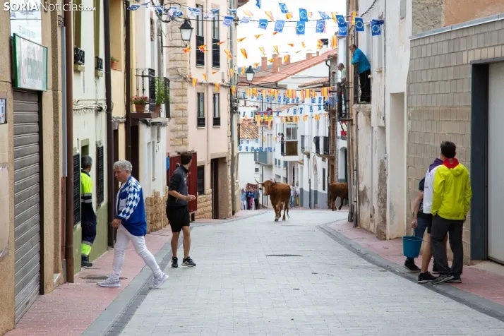 Encierro Fiestas Ólvega 2022