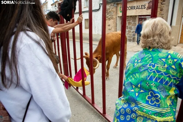 Encierro Fiestas Ólvega 2022