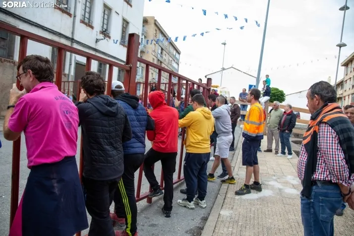Encierro Fiestas Ólvega 2022