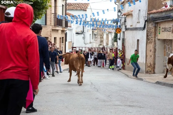 Encierro Fiestas Ólvega 2022