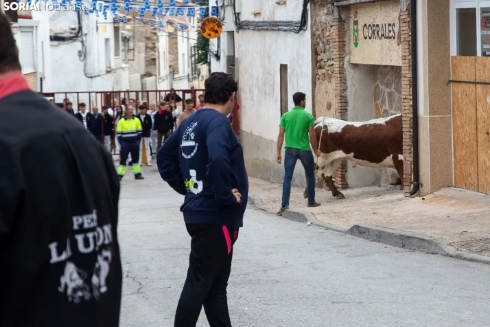 Encierro Fiestas Ólvega 2022