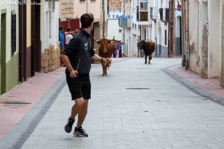Encierro Fiestas Ólvega 2022
