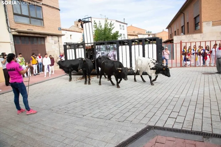 Encierro Fiestas Ólvega 2022