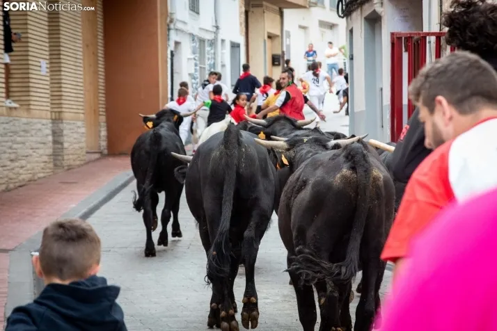 Encierro Fiestas Ólvega 2022
