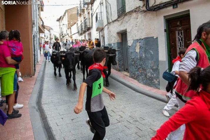 Encierro Fiestas Ólvega 2022