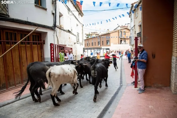 Encierro Fiestas Ólvega 2022