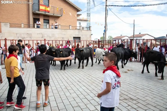 Encierro Fiestas Ólvega 2022