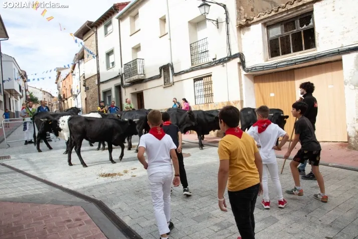 Encierro Fiestas Ólvega 2022