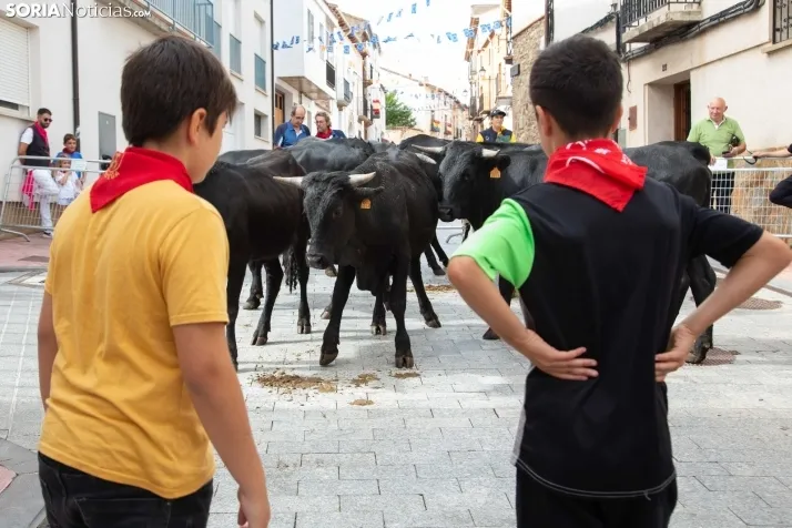 Encierro Fiestas Ólvega 2022