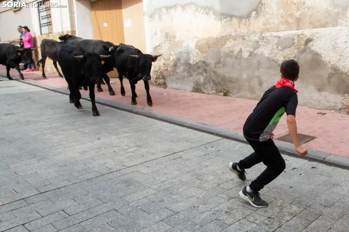 Encierro Fiestas Ólvega 2022