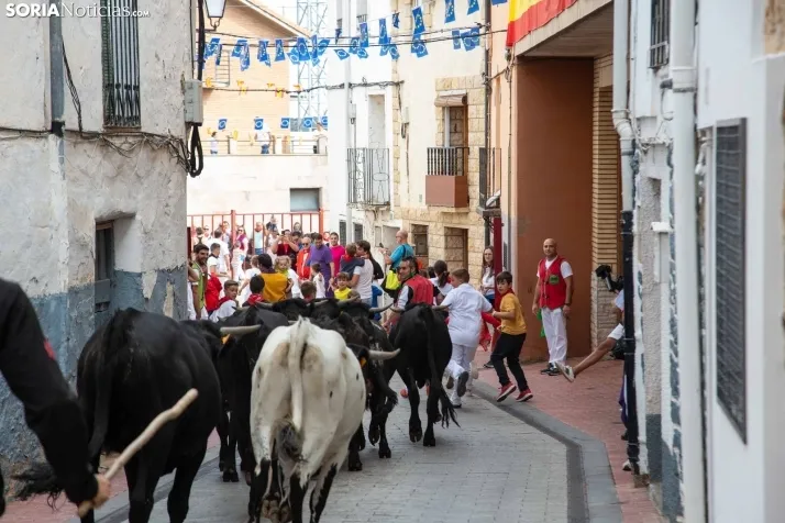Encierro Fiestas Ólvega 2022