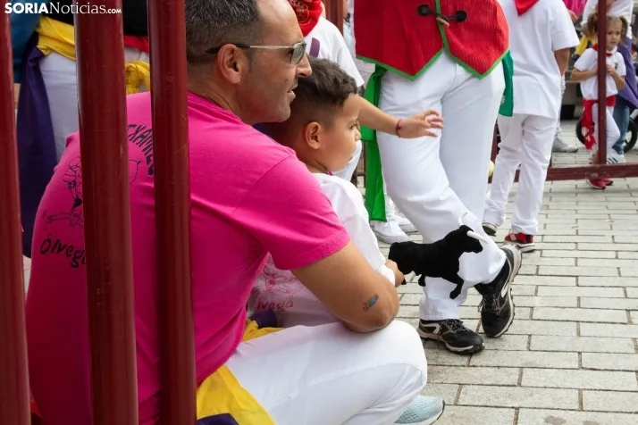 Encierro Fiestas Ólvega 2022